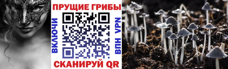 Псилоцибиновые грибы MAGIC MUSHROOMS  Купить  Мичуринск 