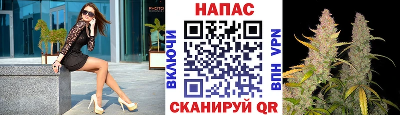 Купить  Мичуринск  Шишки марихуана сатива 